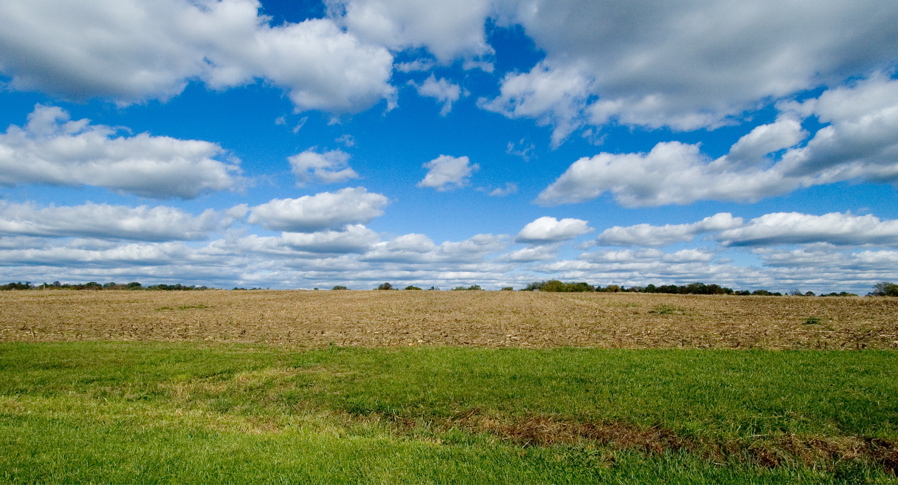 Farm Park - Empty Field